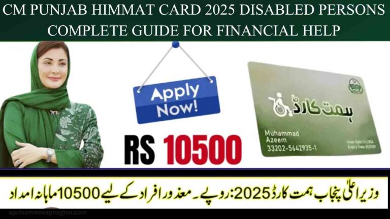 CM Punjab Himmat Card 2025 financial assistance program for low-income families